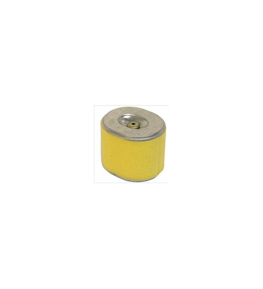 Filtre à air Honda GX390 GX270 GX240 GX340